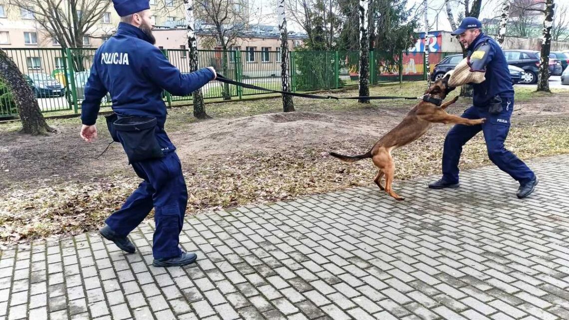 Leia i Iskra w odwiedzinach u uczniów Leia i Iskra w odwiedzinach u uczniów