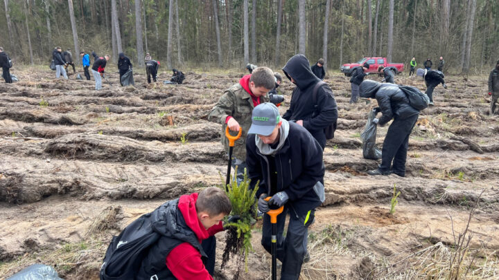 Dzień Ziemi w powiecie ełckim – młodzież ZSM-E w działaniach na rzecz środowiska