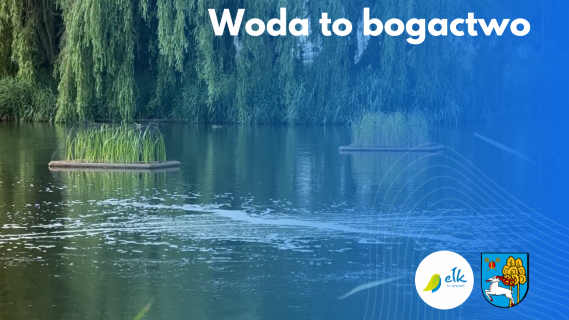 Na „Bajorku” pojawiły się pływające wyspy