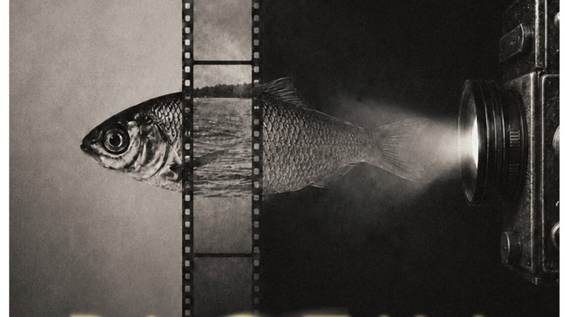 Ełcki konkurs dla młodych filmowców